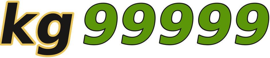 kg99999 logo